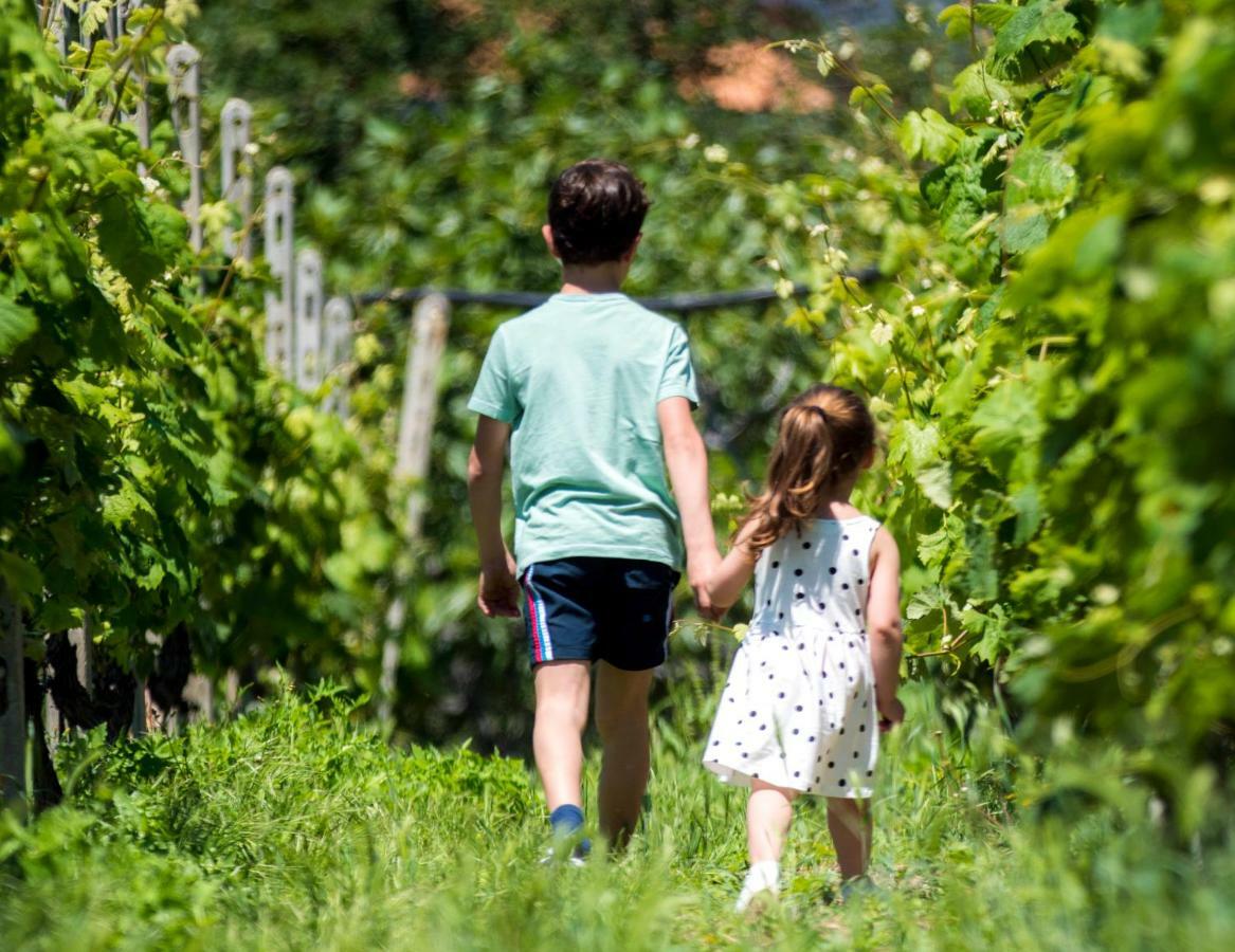 Agriturismo Terre Degli Angeli Villa Pietra Ligure Buitenkant foto